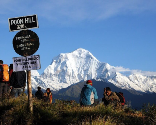 Ghorepani Poon Hill Trek